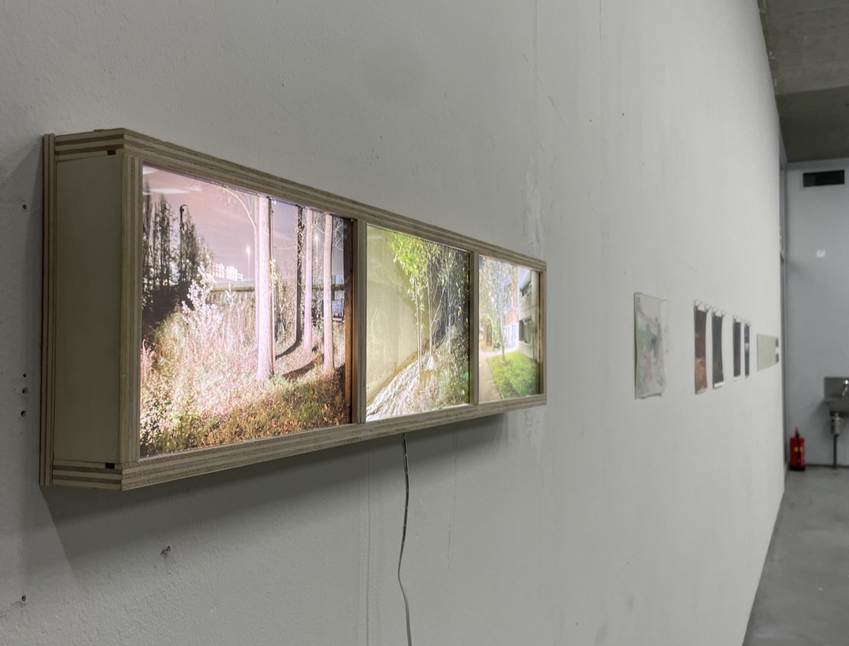 Light box — Wood, glass, LEDs